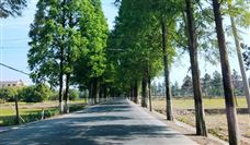 智能摊铺技术助力路面工程 高效精准赢得用户认可