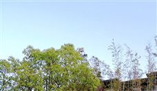 15处煤矿通过安全生产标准化管理体系一级达标认定