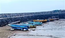 上港集团与华为战略合作构建智慧港口新标杆