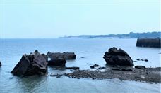 全球首个海水淡化浓盐水提锂项目在青岛签约启动