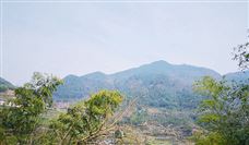 各地制造业智能化转型提速 人工智能产业布局加速发展