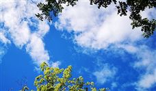 智能工业融合服务中心助力制造企业转型升级发展模式