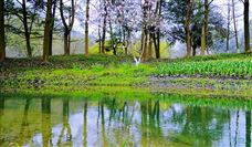 水利部加强水资源配置工程刚性约束审查