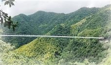 湖北宜来高速舅河大桥成功贯通 桥梁建设技术突破