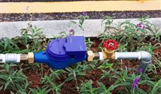 南水北调中线工程累计调水575亿立方米惠及8500万人